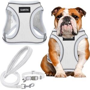 Small Pet Harness Collar and Leash Set